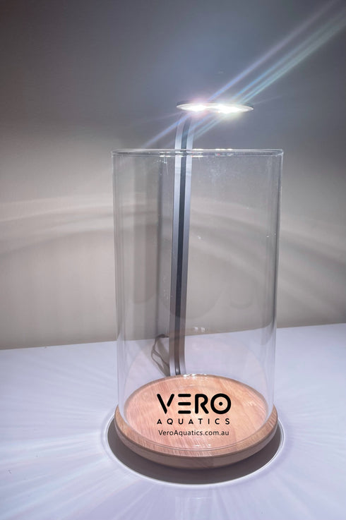 LEDStar AQ DOT - Desktop Light WRGB With Glass Type 1